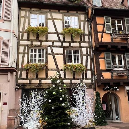 Les Suites Du Cygne Colmar Ngoại thất bức ảnh