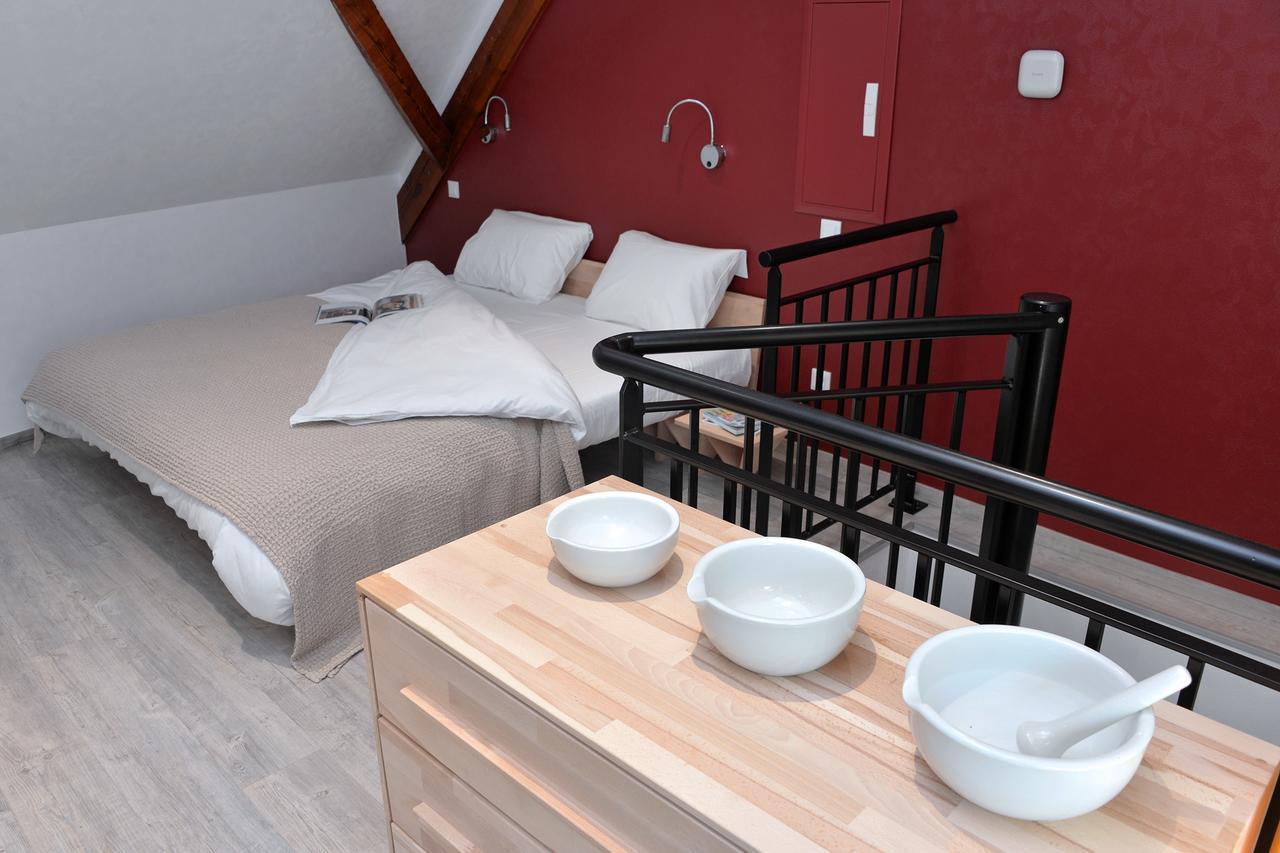 Les Suites Du Cygne Colmar Phòng bức ảnh