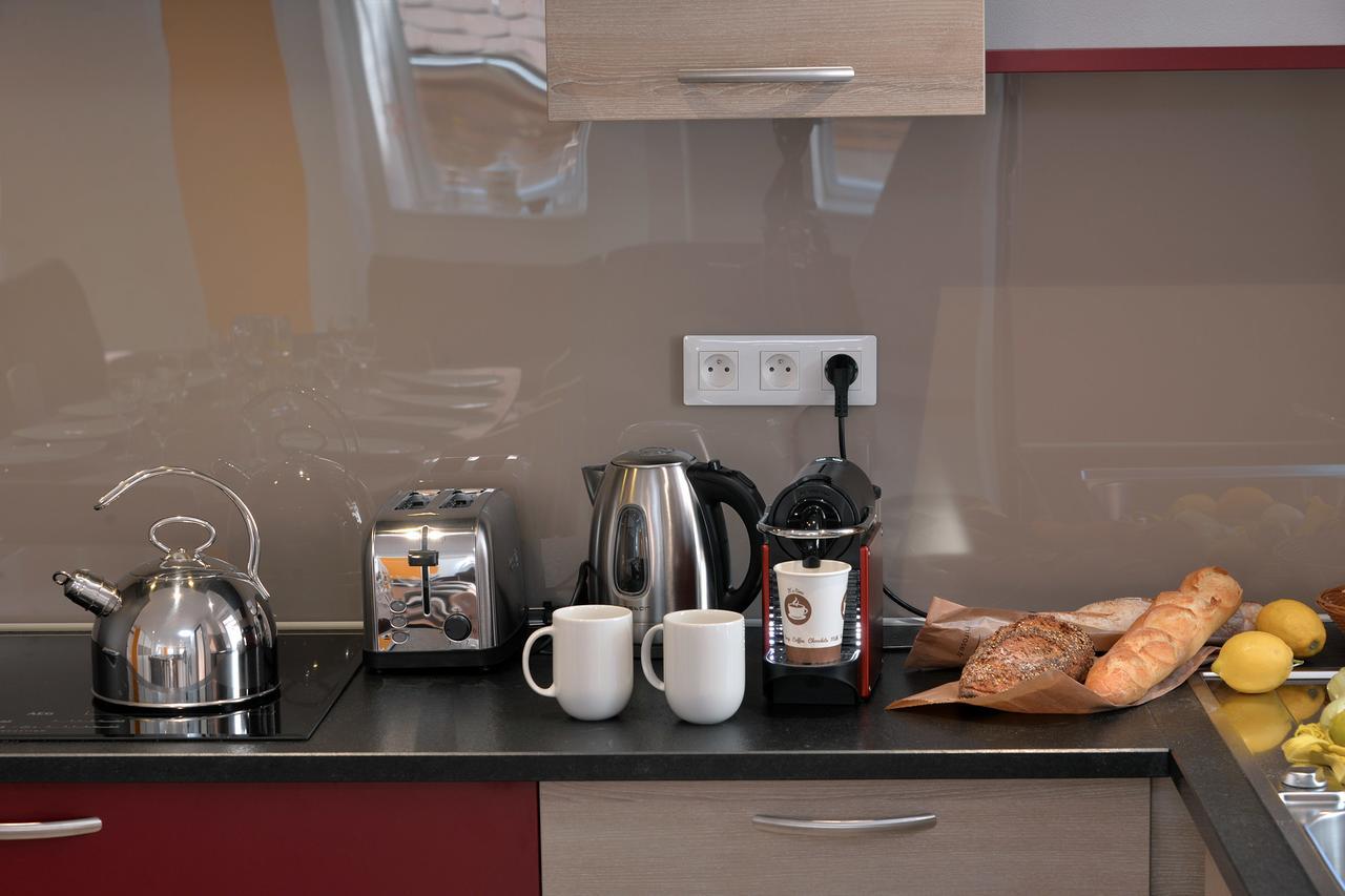 Les Suites Du Cygne Colmar Ngoại thất bức ảnh