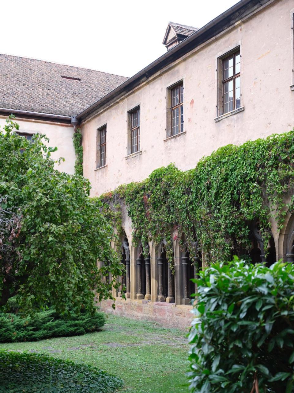 Les Suites Du Cygne Colmar Ngoại thất bức ảnh